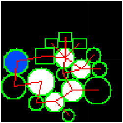 Procedural Space Zoo Generation: Node Connections